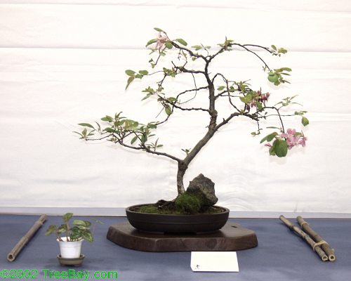 2002Betsuin 149_adj.jpg
